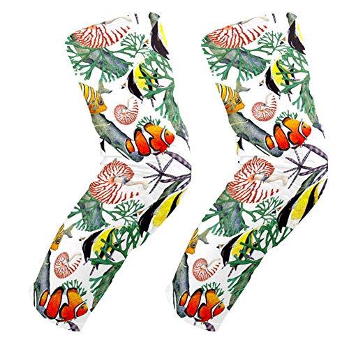 Genouillères poissons tropicaux homme et femme pour le sport et maintien articulaire quotidien