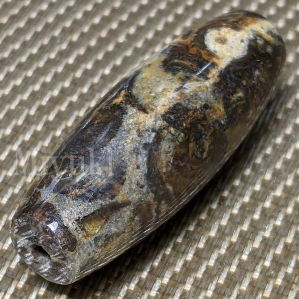 御幸天珠 AS02449 法螺天珠 41x15mm 法螺貝天珠 法螺貝の化石 ほら貝 ホラガイ ほらがい