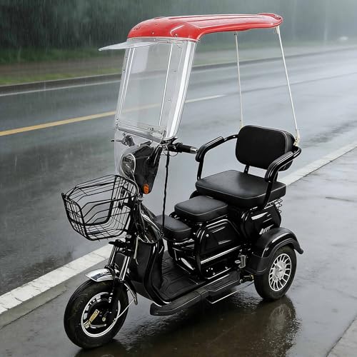 Funda para triciclo eléctrico impermeable con toldo de almacenamiento exterior universal