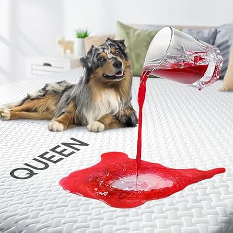 Rokduk Waterproof Mattress Protector Queen Ultra Cooling Mattress Cover Hypoallergenic, Premium Knit Breathable Noiseless Bed Pad Protector Deep Pocket Grey Cover