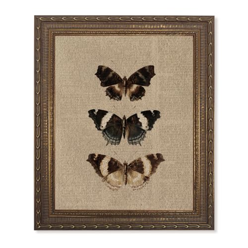 Décor mural or antique texture grès (Papillon, 8"L x 10"L)