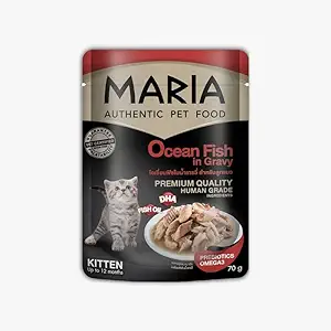 MARIA Premium Kitten Wet Food with Ocean Fish in Gravy for Cats (1-12 Month) for All Breeds with Vet Certified and Palatability - Pack of 12 (70 gm Pouch)