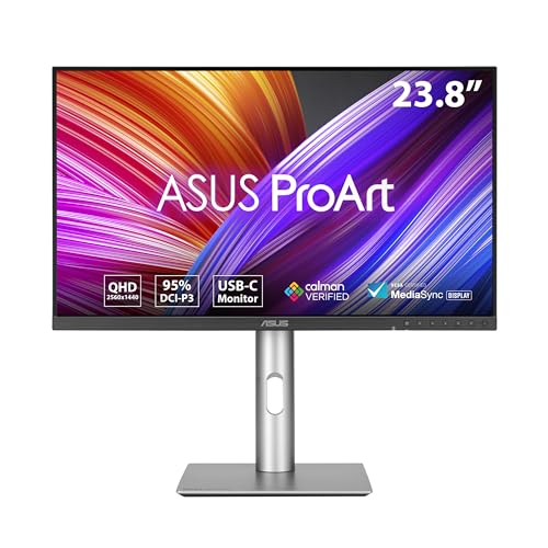 ASUS ProArt Display PA24ACRV Monitor Professionale da 24” pollici (23.8), IPS, QHD (2560x1440), 95% DCI-P3, Accuratezza Colori ΔE