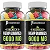 [2-PACK] Hemp Gummies Premium â 6000 MG â Great for Peace & Relaxation – Calming Gummies â Vitamins & Omega 3,6,9 â Made in The USA [2-PACK]