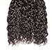 Longqibeauty Brazilian Water Wave Virgin Hair 3 Bundles Remy Human Hair Weave Double Weft 300g Natural Color (12 14 16 Inches)