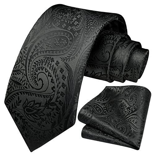 Image of HISDERN Ties for Men Paisley Tie and Pocket Square Woven Classic Floral Mens Ties Handkerchief Set Wedding Party Necktie