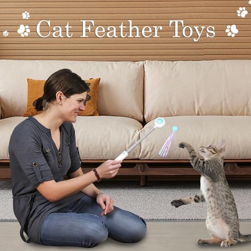 Jouets pour chat avec canne télescopique interactive pour appartement