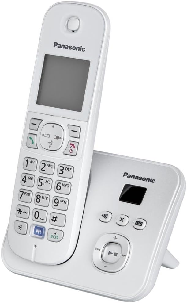 Panasonic KX-TG6821GS - Teléfono (Teléfono DECT, 120 entradas, Identificador de Llamadas, Plata) [versión importada]