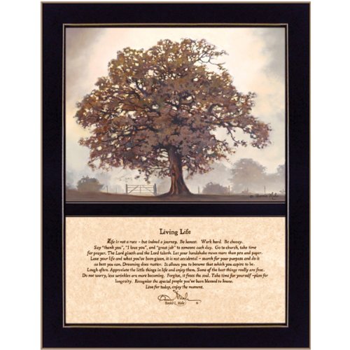 Craft Room COW128F-712 Living Life, Two Part Hardwood Framed Inspirational Textured Print