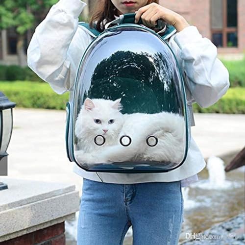 Image of The Pets Company Transparent Capsule Breathable Airline-Approved, Ventilate Carrier Backpack for Travel, Hiking and Outdoor for Cats & Kittens - Green
