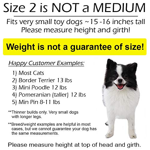 Pandaloon Panda Puppy Dog And Pet Costume Set - As Seen On Shark Tank - Walking Teddy Bear With Arms (Size 2(15-16 In Height At Top Of Head,Girth<16 In), Bunny) #TOP2