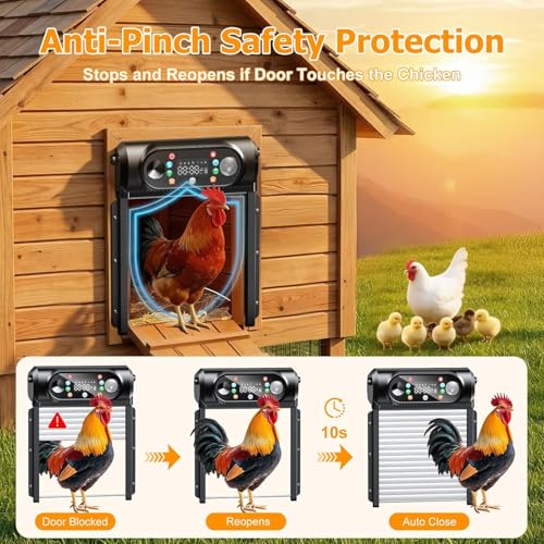 Image of Automatic Chicken Coop Door Solar Powered, Auto Chicken Door Opener