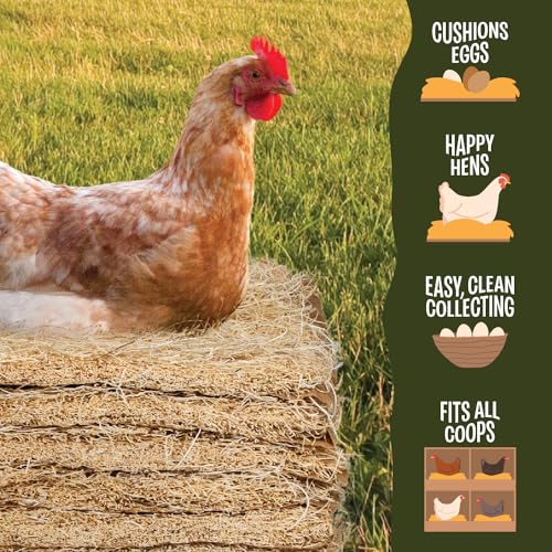 Image of MagJo Aspen Nesting Pads for Chicken Coops - USA Grown Aspen Excelsior Nest Box Liners 13x13-80 Pack