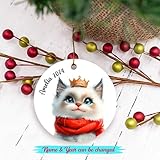 Zoom IMG-1 ornamento natalizio personalizzato ragdoll 2025 Zoom IMG-1 ornamento natalizio personalizzato ragdoll 2025