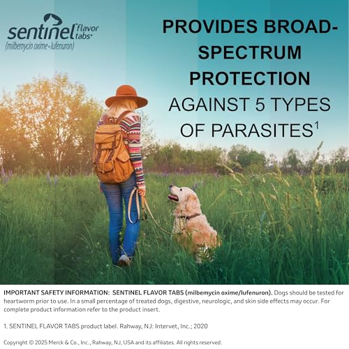 Sentinel Flavor Tabs for Dogs, 26-50 lbs, 6 Chewable Tablets, 6-month supply, Yellow Box