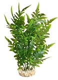 Sydeco Aqua Wild Plante synthétique pour décoration d'aquarium Vert Hauteur 27 cm