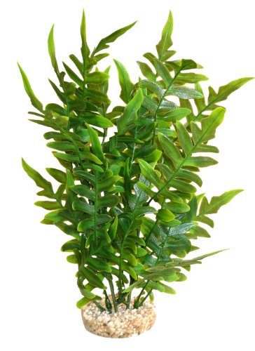 Sydeco - Planta Salvaje de Acuario de 27 cm, Color Verde
