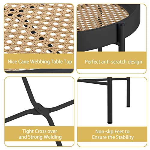 Alpome Rattan Round Metal End Table 2-Tier Side Table Round Coffee Table For Sofa Living Room Bedroom Balconytea Table Outdoor Indoor (Black) #TOP3