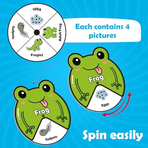 Kasfalci SMZQ-1 Life Cycle Toys For Kids,Animal Plant Insect Bug Ladybug Butterfly Tadpole To Frog Kit,Montessori Learning & Education Toys,Preschool Science Learning Activities thumb #2