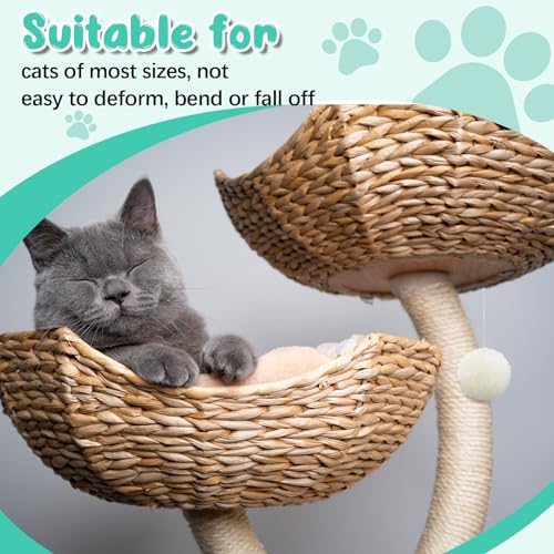 Dansydaisy Set de 3 Accesorios para Árbol de Gato 18" miniatura 6