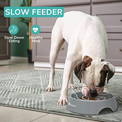LumoLeaf Antischlingnapf Hunde Groß, Ø 22 cm, rutschfest Hundenapf, Schwerer Fressnapf, Entlastet die Verdauung, Anti Blähungen Futternapf Hund, Slow Feeder Dog Bowl (Tornado-Grau, L)