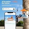 Squirrel Feeder with Camera Solar Powered, Smart Squirrel Bird House Camera Wireless Outdoor, AI Identify. Auto Capture and Video Motion Detection & 2K Live View, Ideal Gifts for Lover