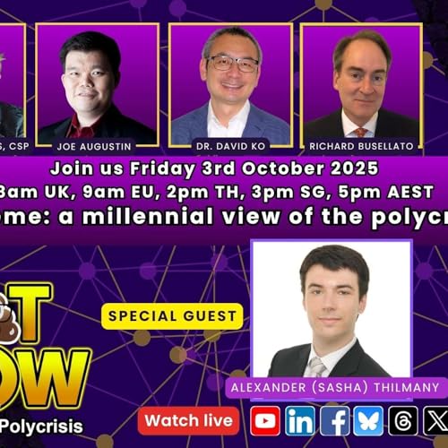 The Sh*t Show: a millennial view of the polycrisis