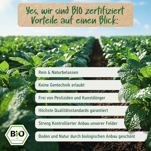 BIO PFEFFERMINZÖL | 100% Natürlich & Pur - Ätherisches Öl | Minzöl - | Aromatherapie - Lindert Kopfschmerzen | Therapeutisches Öl