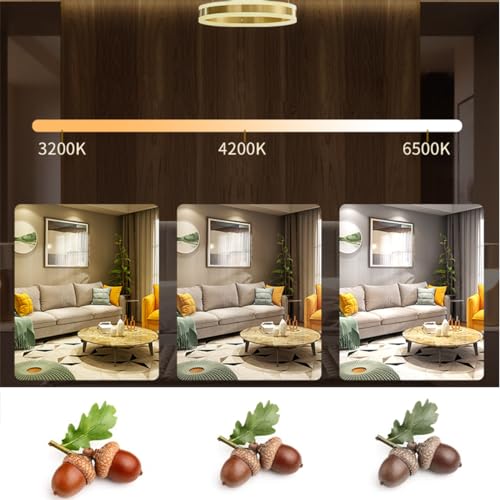 Lustre Rond LED à intensité Variable 60 cm LWX avec télécommande