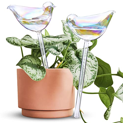 Globes d'arrosage automatique en verre diffuseur eau plante oiseau