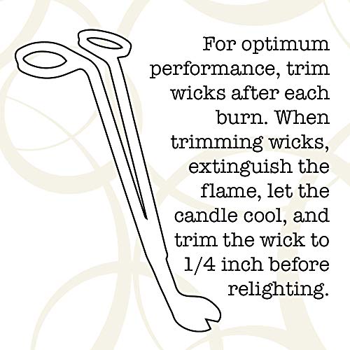 Milkhouse-Candle-Company-Barn-Dance-Creamery-Collection-22oz-Single-Cotton-Wick-Soy-Candles-with-Beeswax-Long-Burn-Time-Made-in-The-USA-Non-Toxic-Premium-Scented-Candles Milkhouse Candle Company Barn Dance Creamery Collection 22oz Single Cotton Wick Soy Candles with Beeswax Long Burn Time Made in The USA Non Toxic Premium Scented Candles