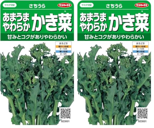 �T�J�^�̃^�l ������3001 ���܂��܂��炩������ �������� 00923001 (× 2)