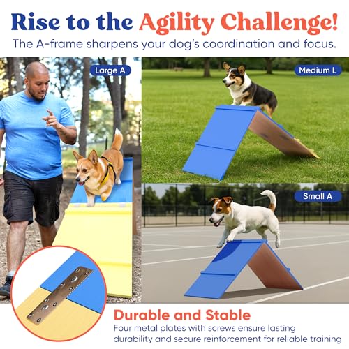 FetchFlow Dog Agility Training Complete Set