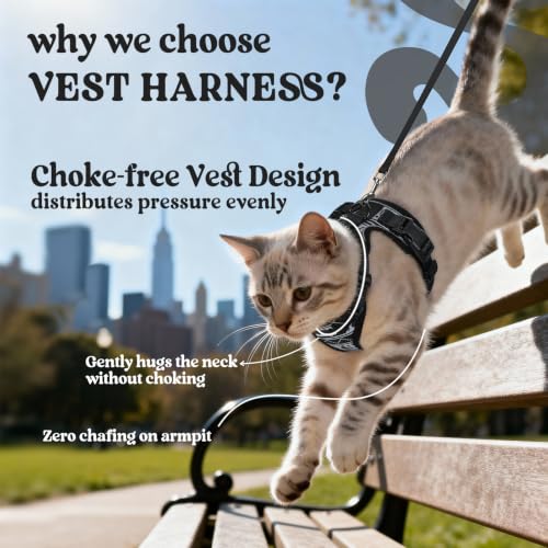 Image of rabbitgoo Cat Harness and Leash Set, Escape Proof Vest, Pixel Tabby