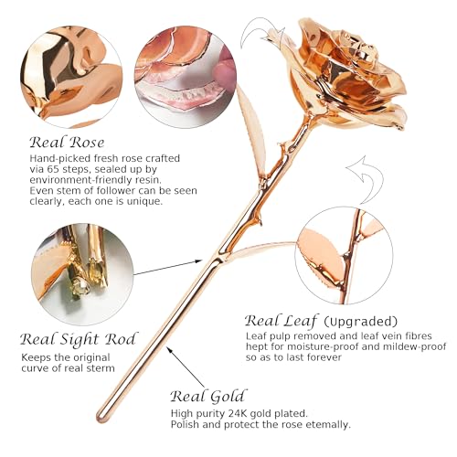 Image of Sinvitron Gold Dipped Rose Real 24K Gold Rose, Hand Dipped One of a Kind Golden Roses, Romantic Gifts for Women on Valentines Day, Anniversary Mother's Day (Rose Gold)