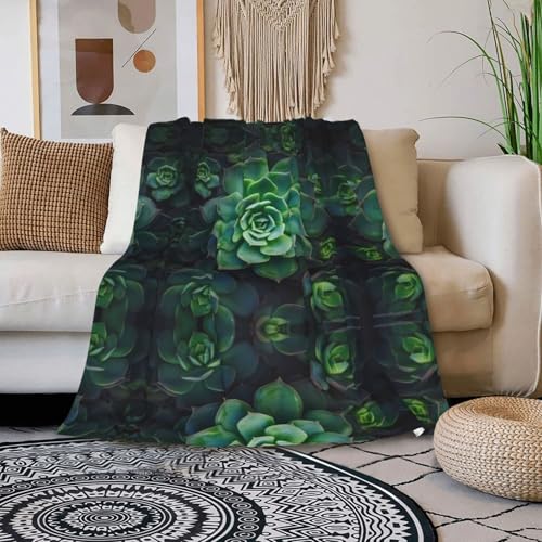 Couverture en peluche compacte et douce pour lit et voyages - 3