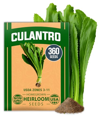 Image of HOME GROWN Non GMO Culantro Seeds 360 Herb Seeds for Planting Non-GMO Heirloom Variety, Robust Flavor, Thrives in Heat, Grows Indoors or Outdoors, Cilantro Substitute (Eryngium Foetidum)