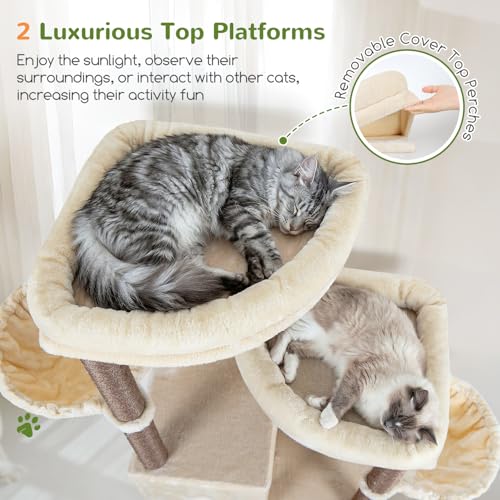 Image of Globlazer Cat Tree Tower for Indoor Cats, Sturdy Adult Cat Tree House for Large Adult Cats with 2 Platform, 6 Cat Scratching Post, 2 Cat Caves, Dangling Toys, S63, 63 inch, Beige