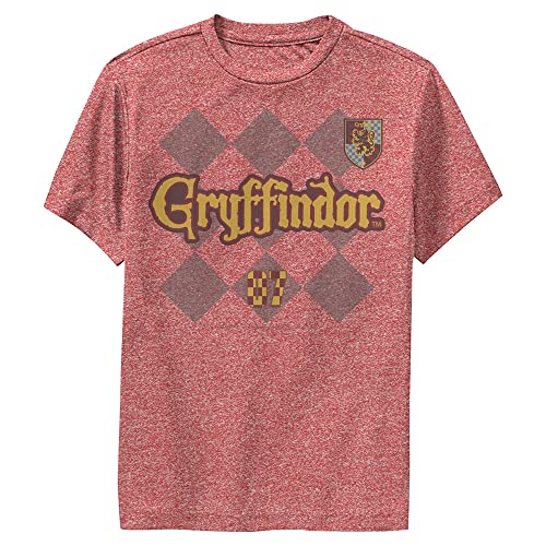 Sweatshirt à capuche Gryffindor Harry Potter enfant pull chaud anti-pilling
