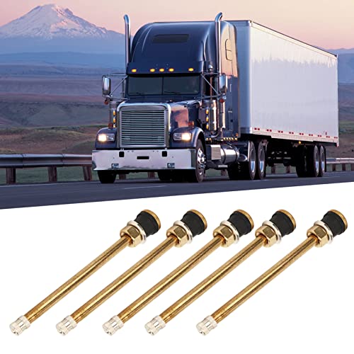 20 Peças de Braçadeira de 5 pol. Hastes de Válvula de Caminhão TR574 Haste de Válvula Reta Sem Tubo