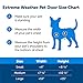 PetSafe Extreme Weather Pet Door - Insulated Weather-Resistant Dog & Cat Door with Durable Plastic Frame - Maximum Energy-Saving Efficiency - Medium - for Dogs & Cats up to 40 lbs