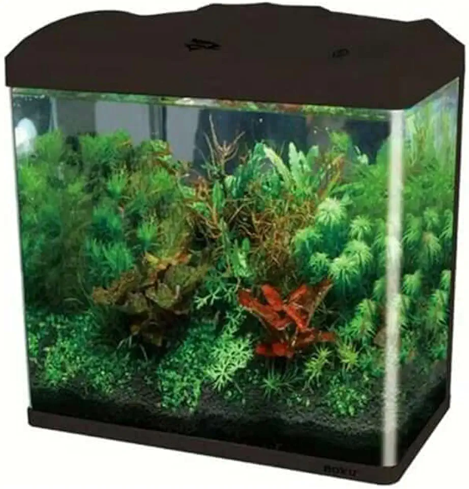 BOYU - Aquário Curvo EC-400 33L Preto 127V