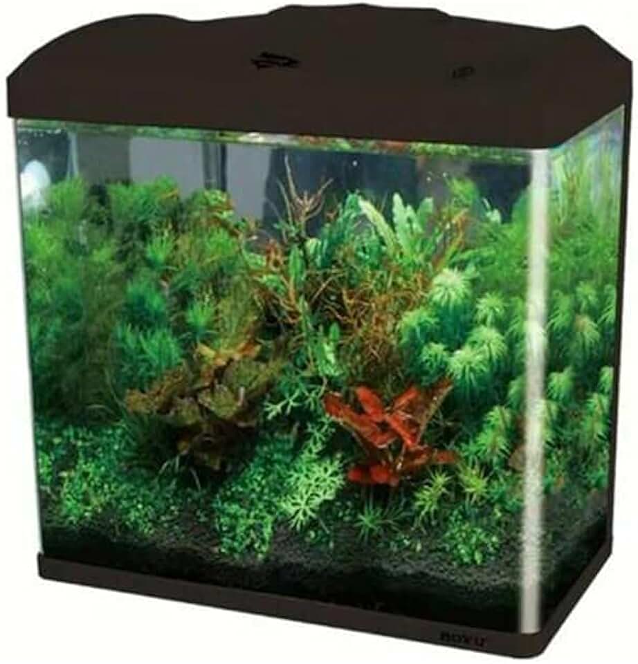 BOYU - Aquário Curvo EC-400 33L Preto 127V