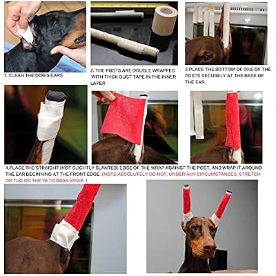 Doberman Dog Ear Posting Kit, Dog Ear Stand Up Support Tool, Dogs Ears Tap for Doberman Pinscher