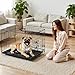 Sweetcrispy 30 Inch Single Door Dog Crate, Metal Pet Kennel with Secure Lock, Foldable Design, Removable Tray for Easy Cleaning, Portable Puppy Cage for Small Dogs, Ideal for Training & Travel