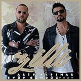  Zilli