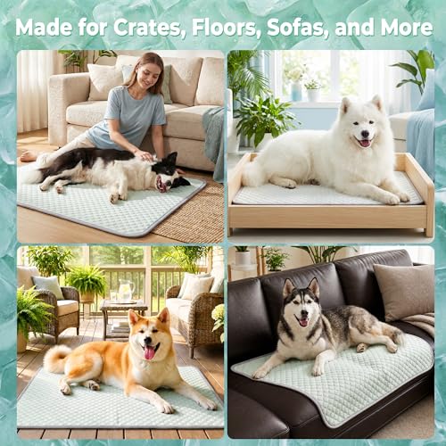 Image of PatiencET Large Dog Cooling Mat, 32 x 44 in No-Gel Cooling Pad for Dogs, Cool Touch Pet Mat with Ice-Dot Texture, Washable Summer Dog Mat for Crate, Kennel, Floor, Sofa, Car, Light Green