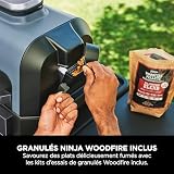 Ninja Woodfire Pro Connect XL Barbecue Électrique & Fumoir avec Contrôle d'Application, 2 Sondes, Grille, Housse, Revêtements & Brosse, Grill & Friteuse sans huile 7-en-1, Bleu & Noir OG901EUAMZ - 17