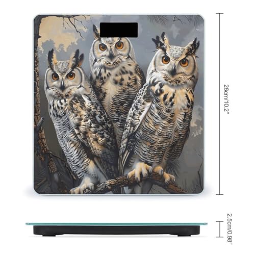 Báscula digital Owl Birds para baño 26 x 26 cm miniatura 2