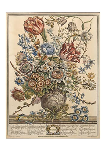 Lámina botánica Doce meses de flores de Robert Furber, impresión artística decorativa